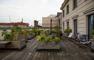 Our roof terrace with wooden floor and wooden raised beds which are equipped with all kinds of green plants that can be consumed. On the right side there are deck chairs in our own MaibornWolff design.