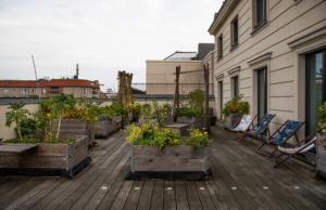 Unsere Dachterrasse mit Holzboden und Holzhochbeeten die mit allerlei Grünpflanzen bestückt sind, die man verzehren kann. An der rechten Seite stehen Liegestühle im eigenen MaibornWolff Design.