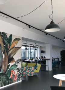 View past our jungle-themed wall into the dining and lounge area. 